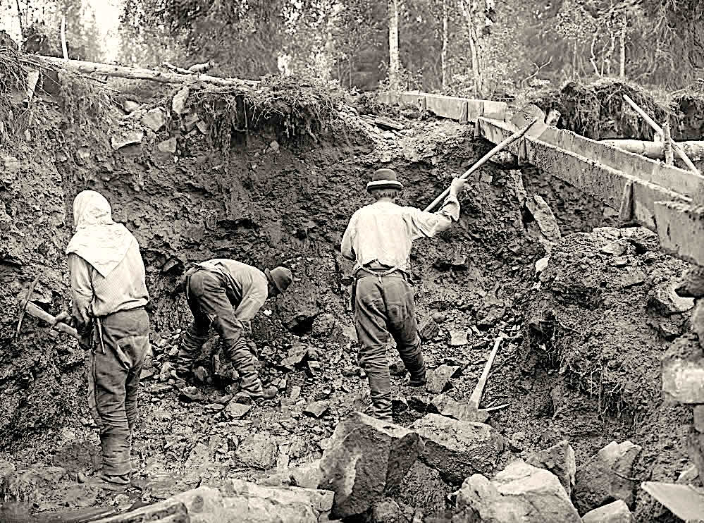 guldgrävare Lappland 